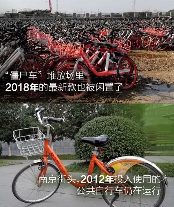 藿香男人国产av天堂www麻豆，草木间的香气记忆与药膳文化探析